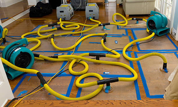 Professional Storm Water Damage Restoration technician working in Staples, CT